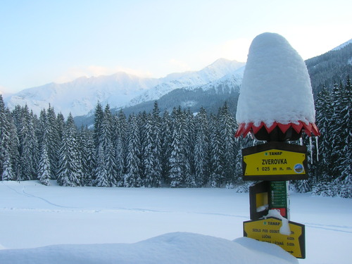 Roháče - Zverovka/Spálená dolina Ski Resort by: Jacek