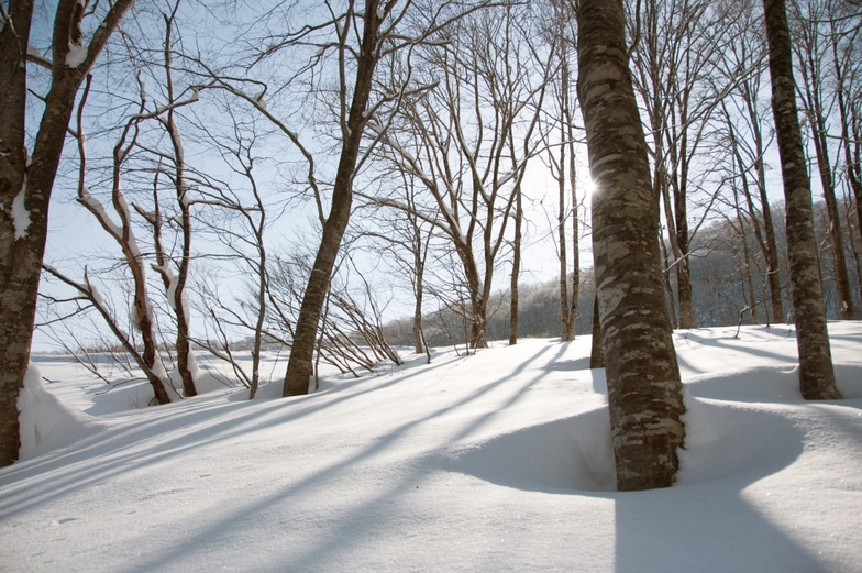 Knee deep and untouched !, Hakuba 47