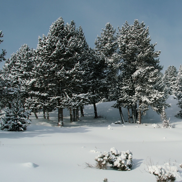 Una buena nevada, Font Romeu