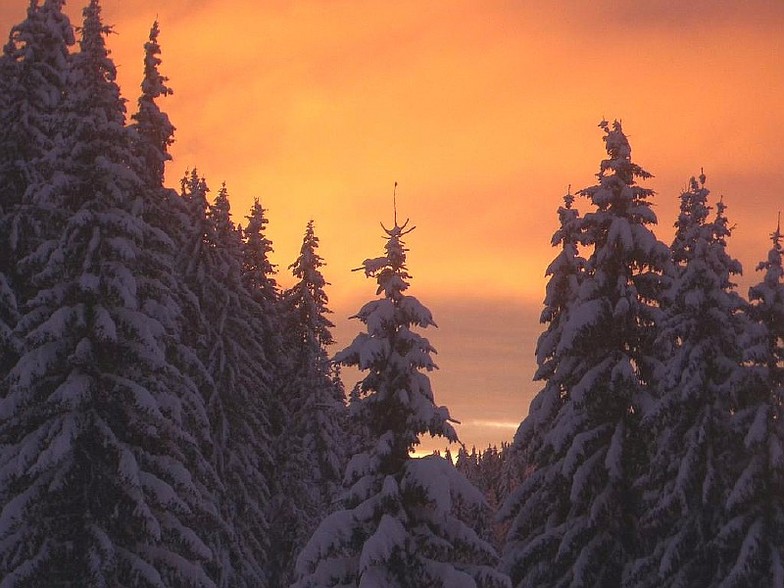 Pamporovo-Bulgaria