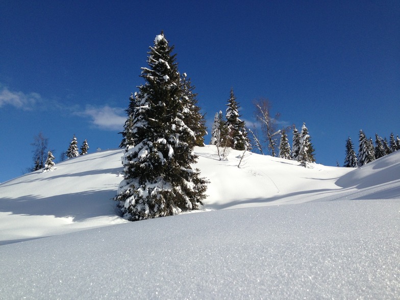 sunny day in les gets