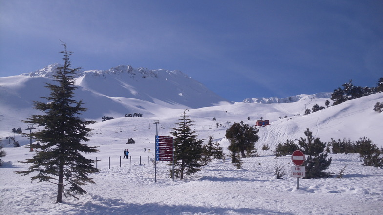 DAVRAZ FEBRUAR 2013