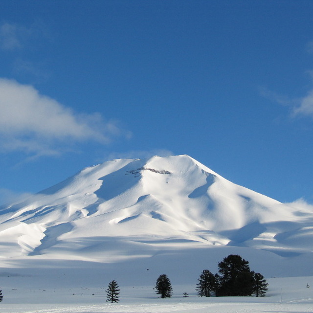 lonquimay volcano, Chile, Cerro Castor