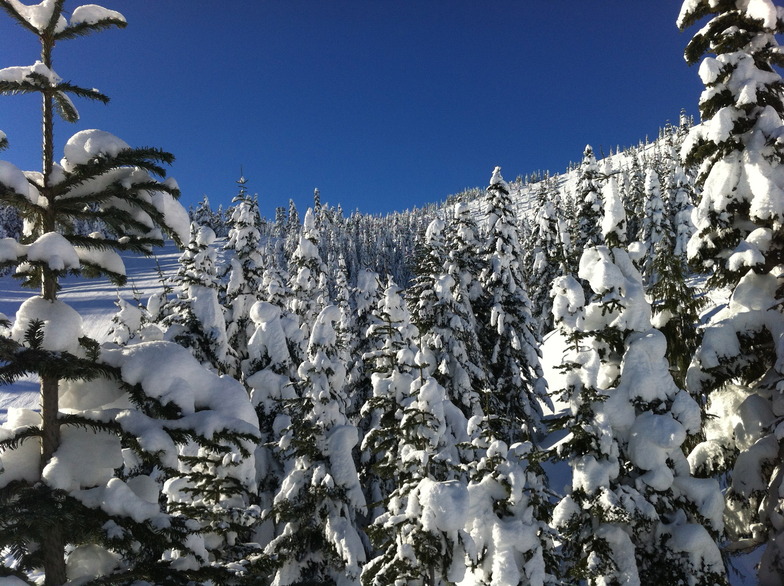 From the red chair, Sasquatch Mountain Resort