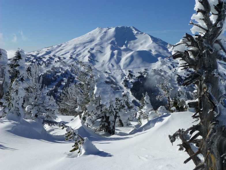 Bachy!, Mt Bachelor