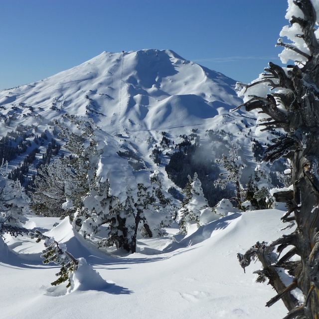 Bachy!, Mt Bachelor