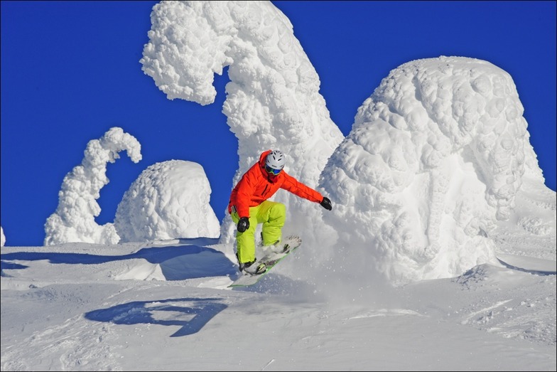big white
