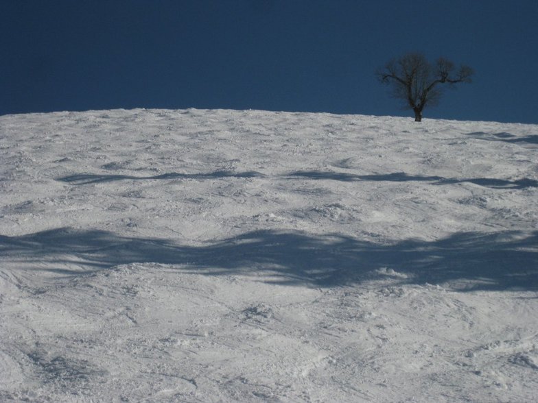 Buckelpiste, Balderschwang