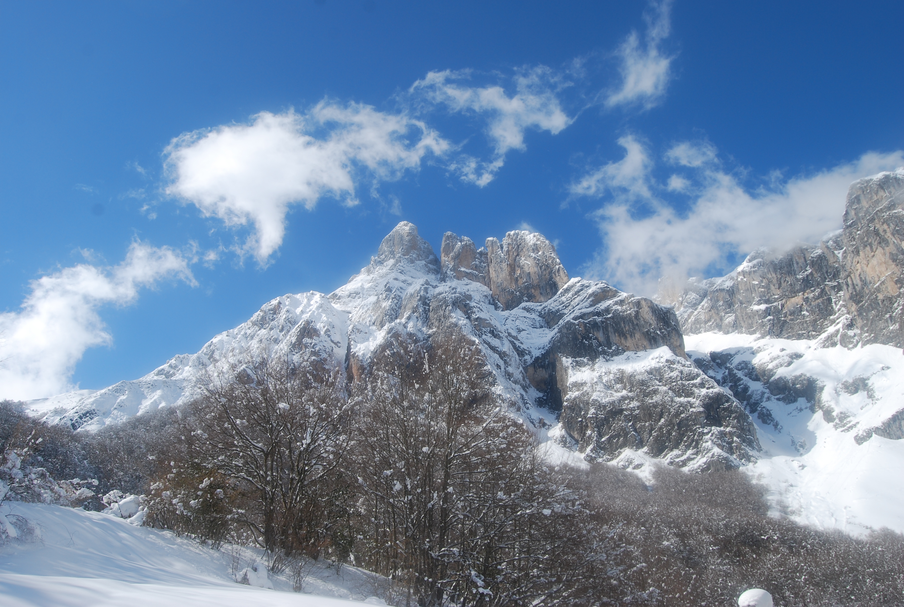 Picos De Europa