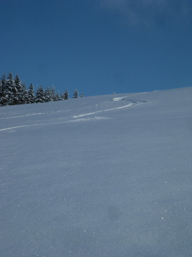 Todtnauberg Ski Resort by: andyi
