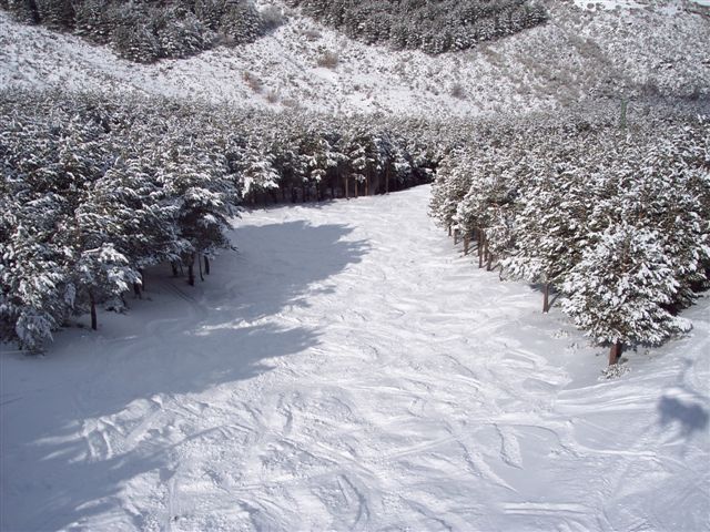 pista el bosque con nieve polvo, La-Pinilla