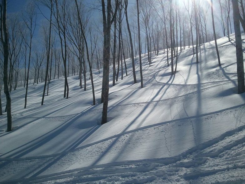 pow & tree, Madarao Kogen