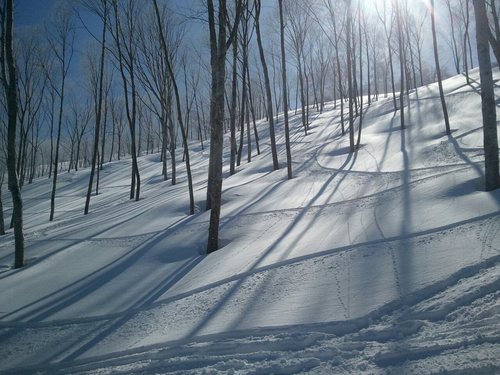 Madarao Kogen Ski Resort by: takeshi kitamura