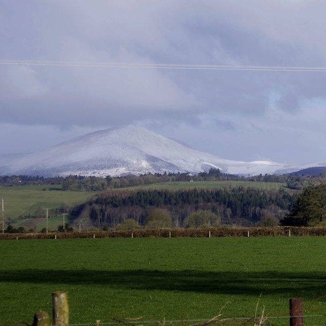 Knockmealdown Mountain, Knockmealdown (Knockmealdown Mts)