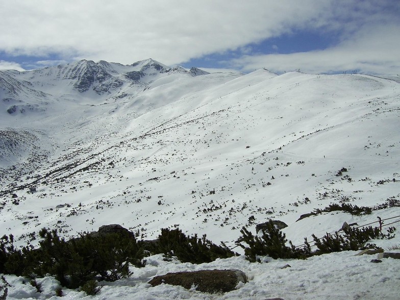 Markoudjik - borovets