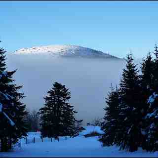 Le mont Procher à Chalmazel