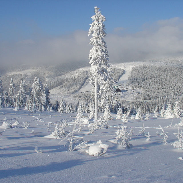 FROZEN! Cervenohorske Sedlo, Jeseniky Mountains, Czech Republic - January 2005, Červenohorské Sedlo