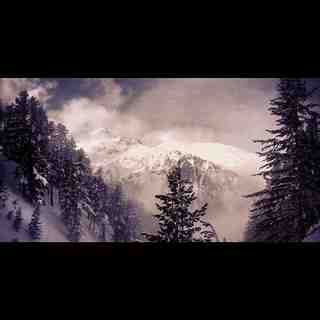 Magic Forest, Bansko