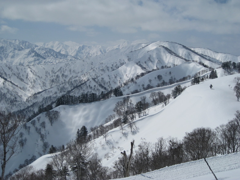 Powder in March, Okutadami Maruyama