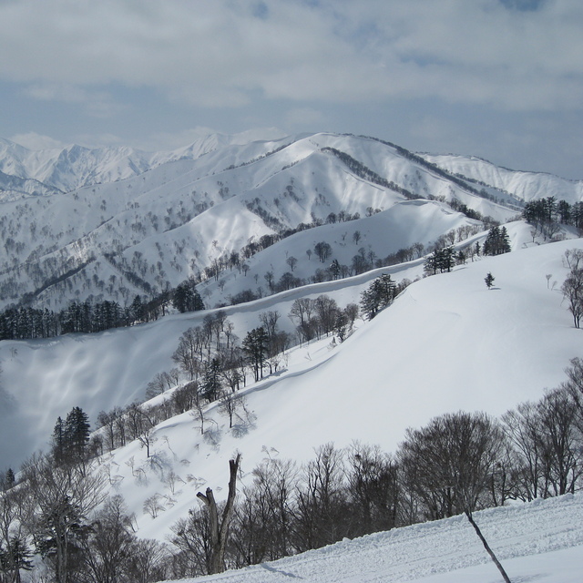 Okutadami Maruyama Snow: Powder in March
