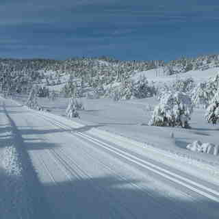 Nordic area: le "Schuss", Gréolières Les Neiges