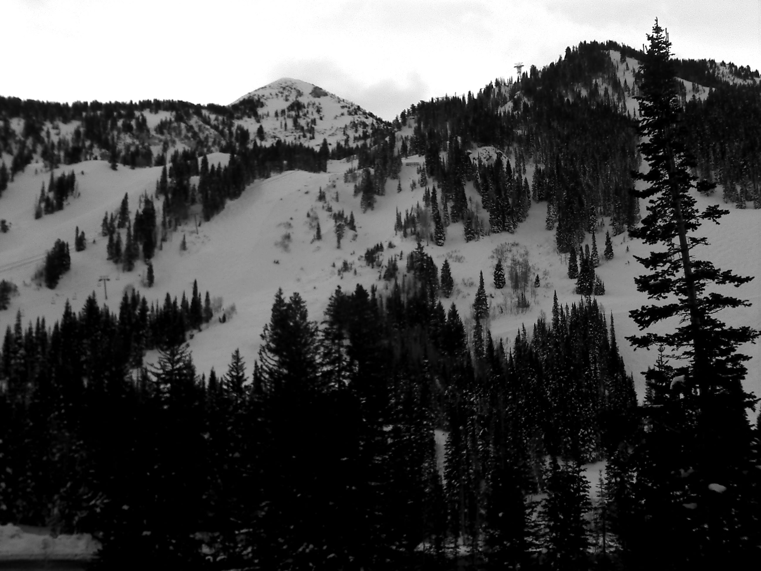 Snowbird ski area utah