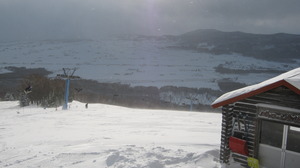 Pippu photo