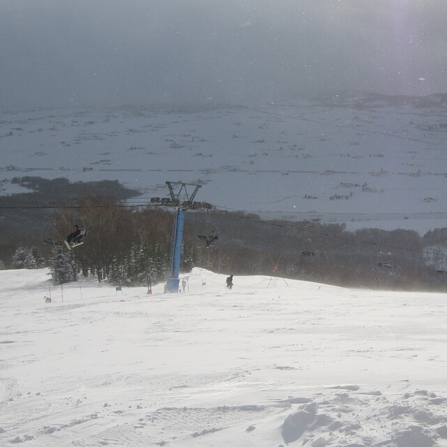 Pippu