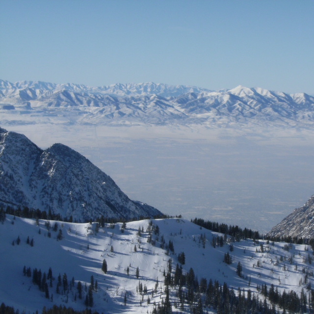 Snowbird / alta vacation