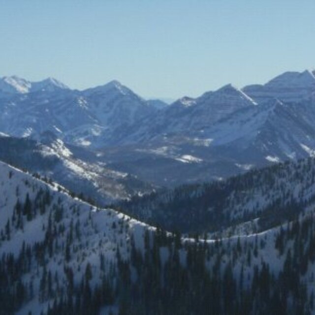 views from top of tram, Snowbird