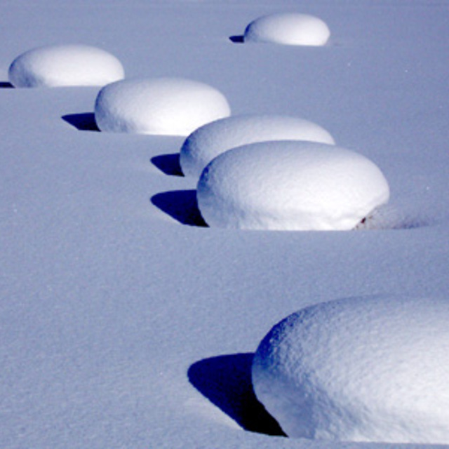 Snow mushrooms, Otaru Tenguyama