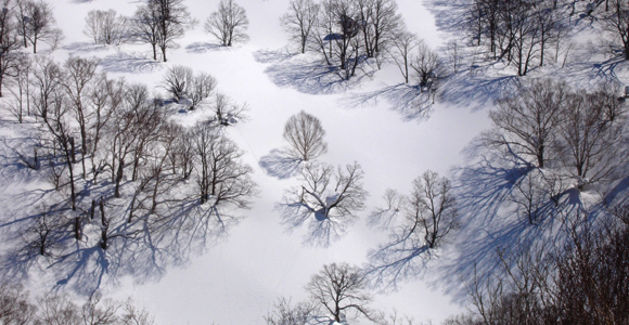 Untracked Powder, Niseko Grand Hirafu