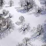 Untracked Powder, Niseko Grand Hirafu