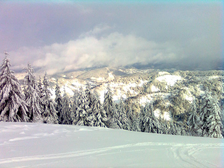 Trostian, Slavsko