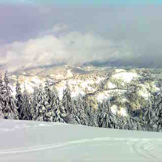 Trostian, Slavsko