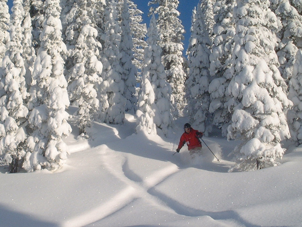 Fernie at New Year 2005