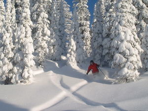 Fernie at New Year 2005 photo