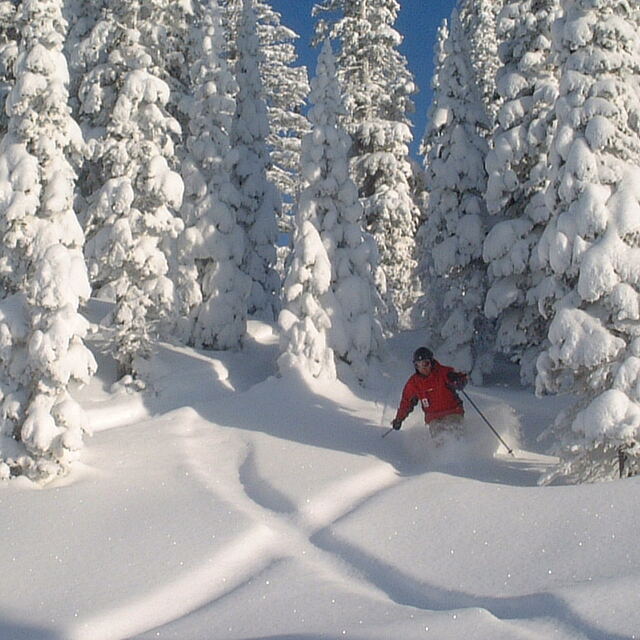 Fernie at New Year 2005