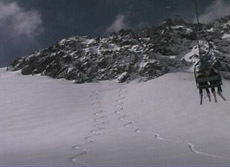 Portillo Powder