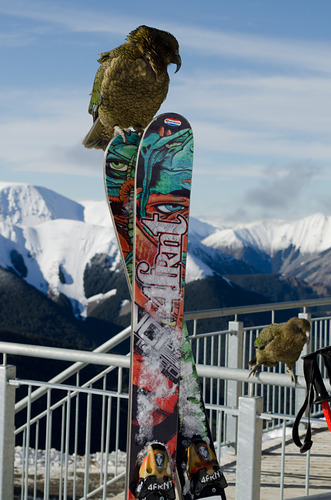 Mount Cheeseman Ski Resort by: Roz Service