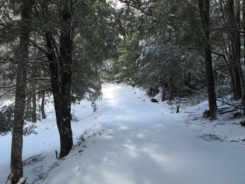 Randonee, Villarrica-Pucon
