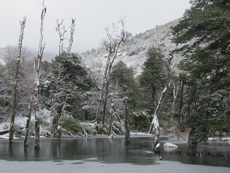 Randonee, Villarrica-Pucon