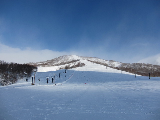Niseko Moiwa snow