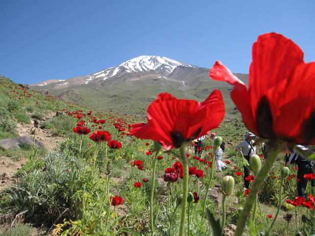 Damavand, Mount Damavand