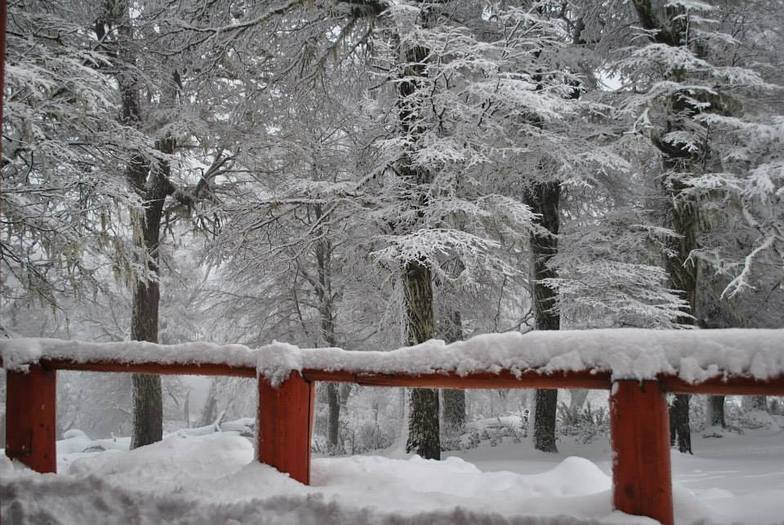 www.huellablanca.com      info@huellablanca.com, Chapelco