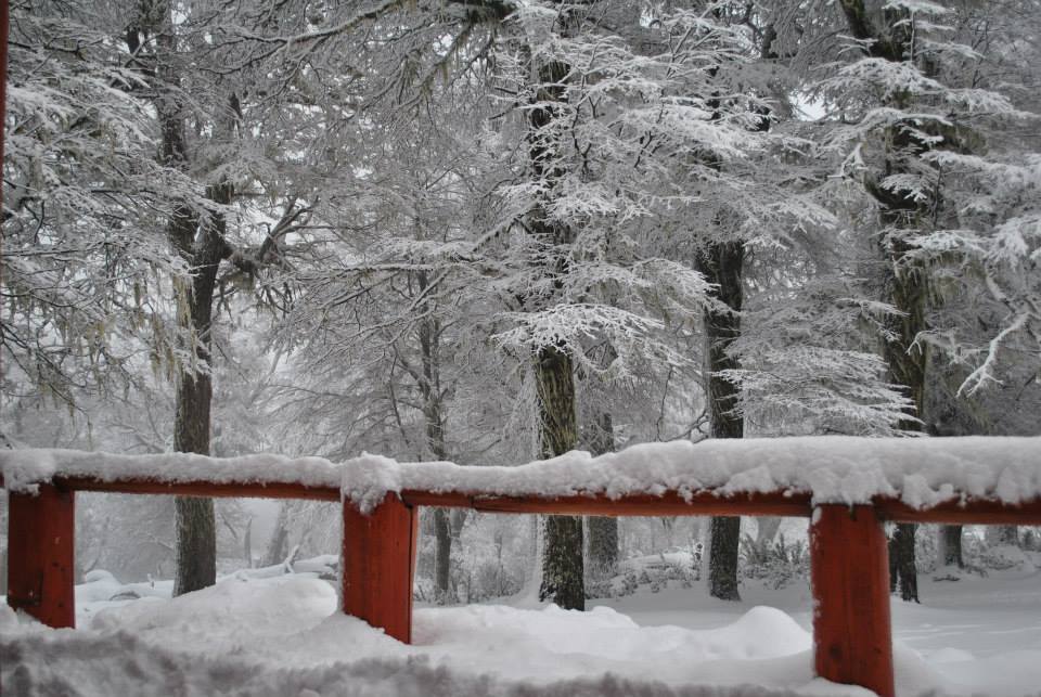 www.huellablanca.com      info@huellablanca.com, Chapelco