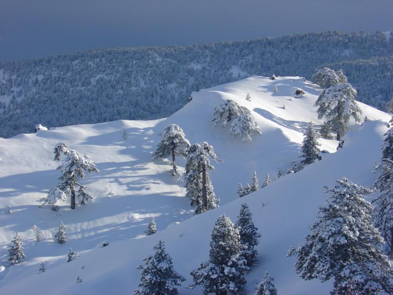 Fresh snow in Cyprus, Mt Olympus