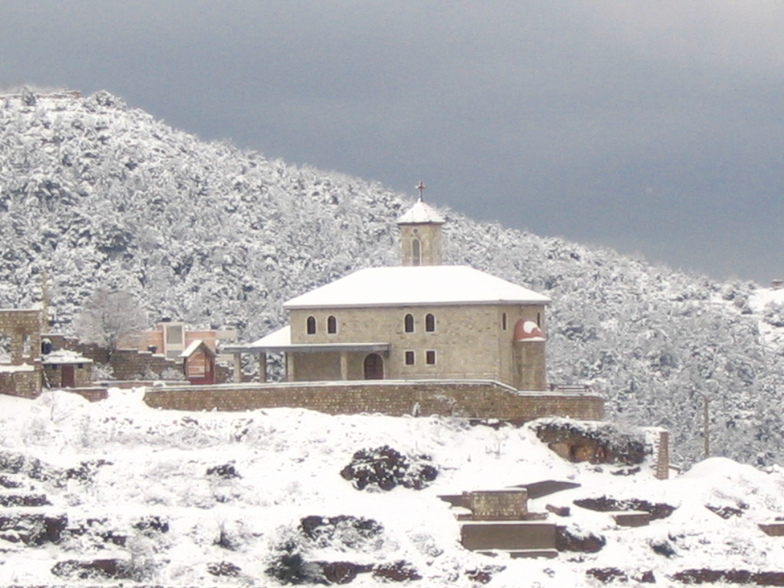 Asson - Lebanon, Cedars