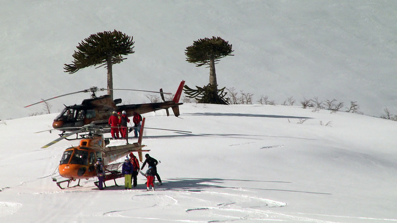 Heli Ski Araucania