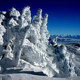 Mammoth Mountain Summit Jan 2005, USA - California